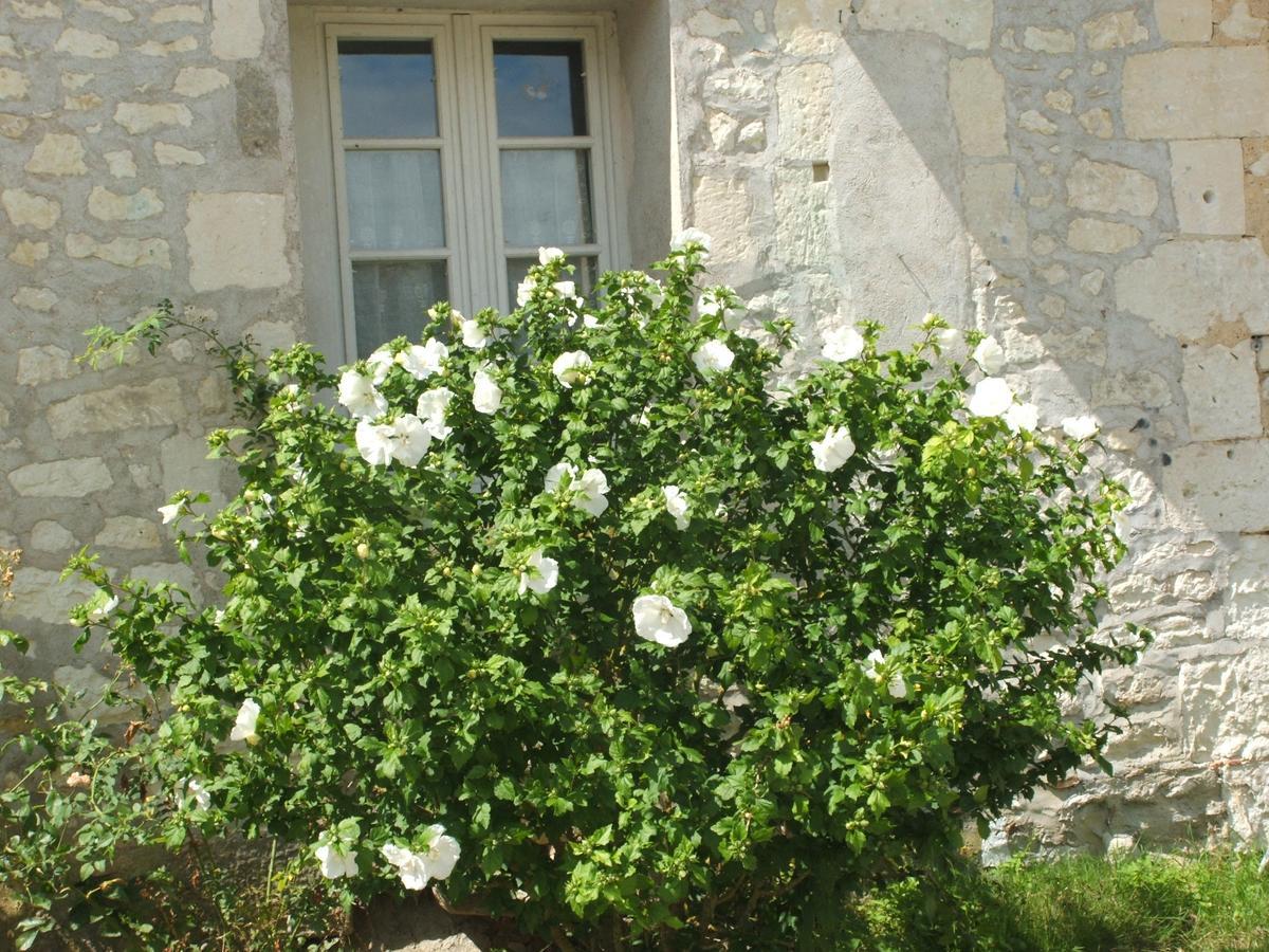 Manoir De La Rousselliere Aparthotel Loches Εξωτερικό φωτογραφία
